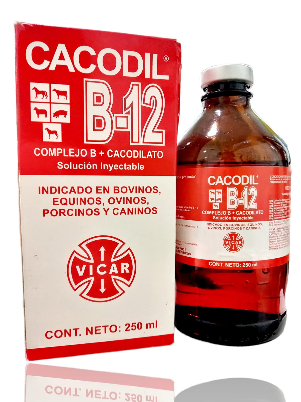 CACODIL B-12 X 250 ML CACODIL B-12 X 250 ML