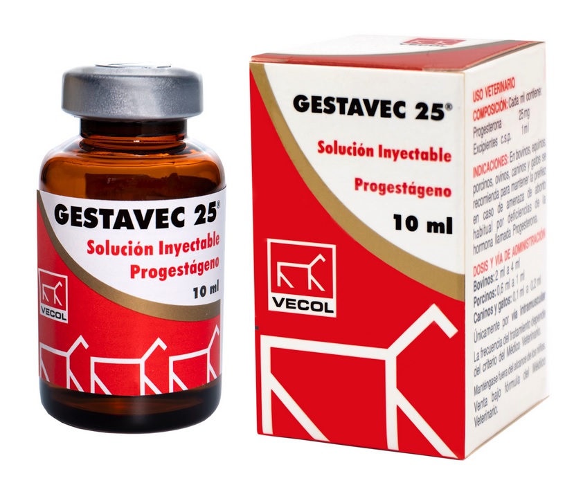 GESTAVEC 25 X 10 ML GESTAVEC 25 X 10 ML
