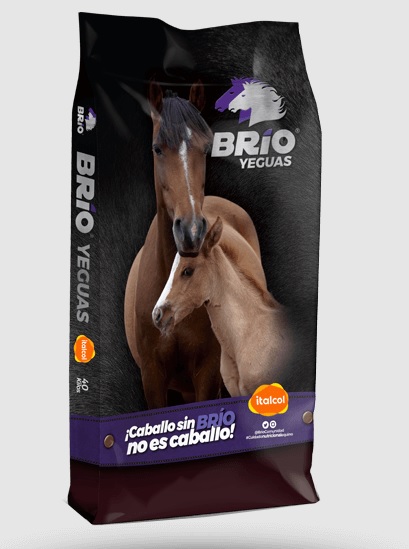 BRIO YEGUAS BRIO YEGUAS
