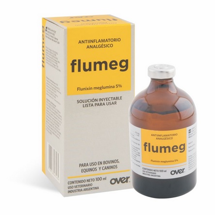 FLUMEG X 100 ML FLUMEG X 100 ML