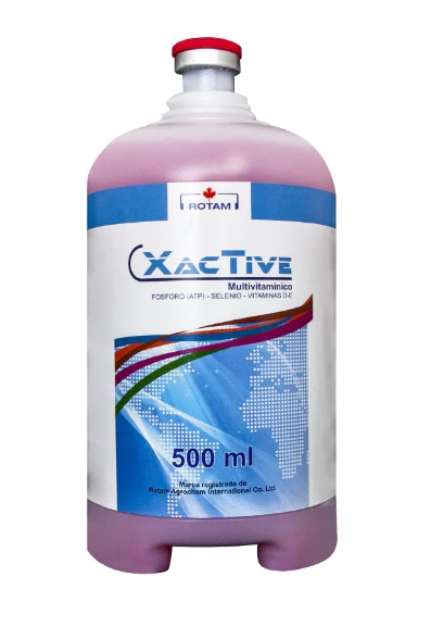 XACTIVE X 500 ML XACTIVE X 500 ML