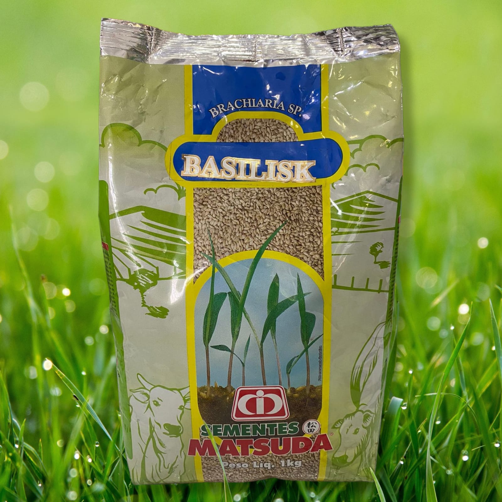 WhatsApp Image 2024-03-07 at 10.29.27 (1) WhatsApp Image 2024-03-07 at 10.29.27 (1)