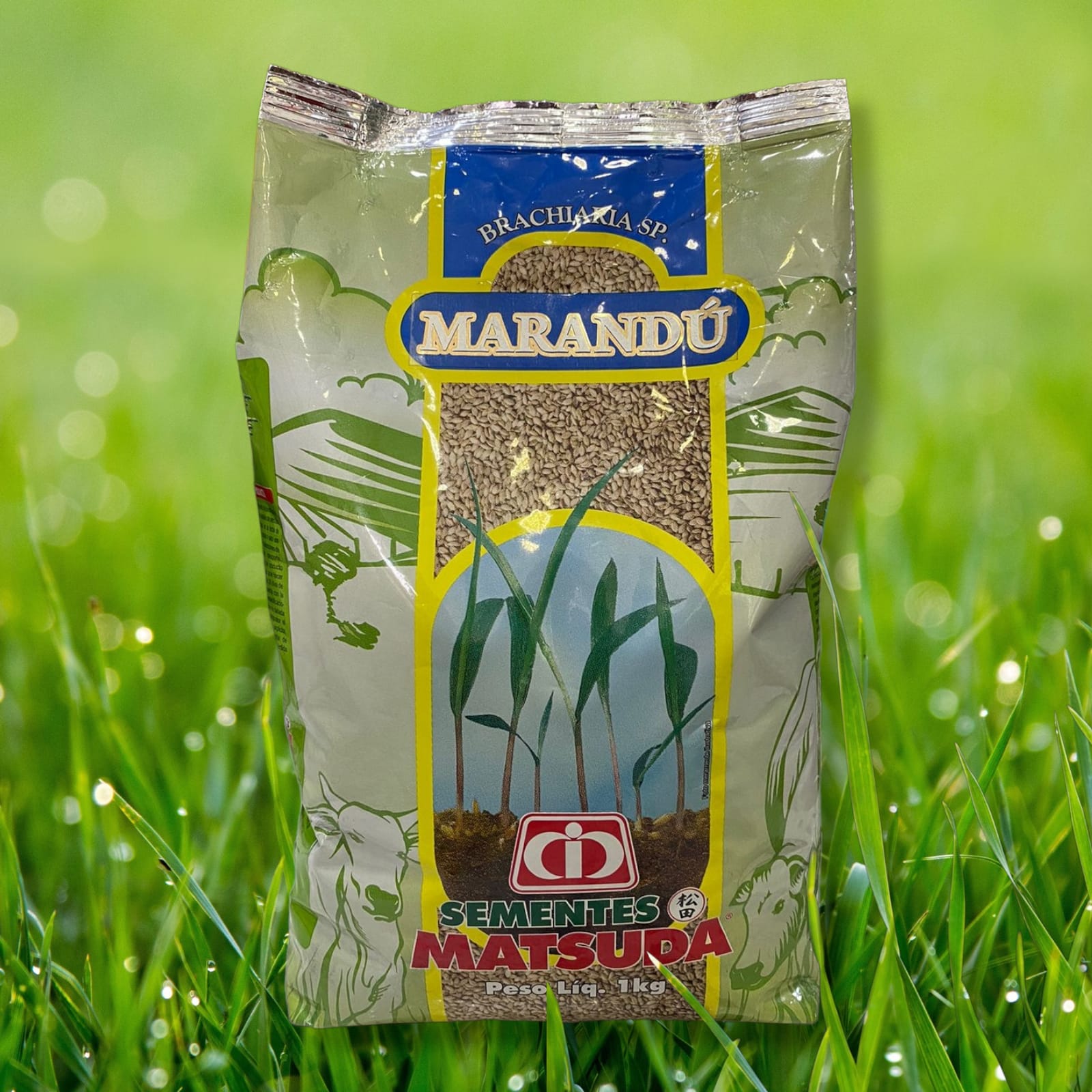 WhatsApp Image 2024-03-07 at 10.29.41 WhatsApp Image 2024-03-07 at 10.29.41