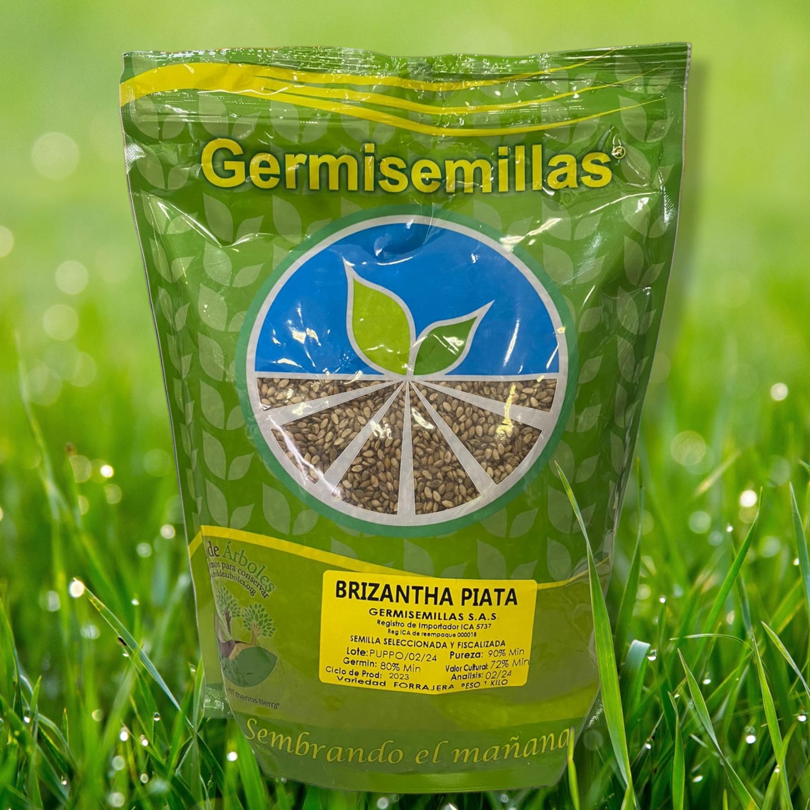 WhatsApp Image 2024-03-07 at 10.29.42 WhatsApp Image 2024-03-07 at 10.29.42