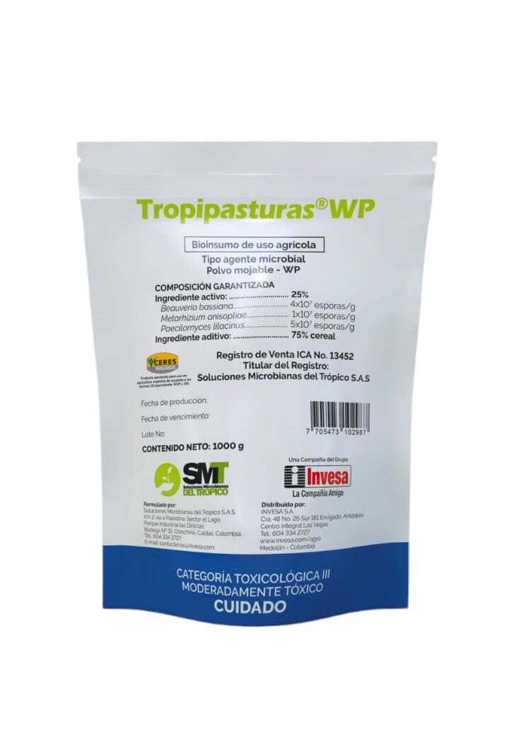 WhatsApp Image 2024-10-11 at 5.32.41 PM WhatsApp Image 2024-10-11 at 5.32.41 PM